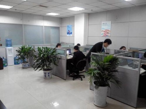 青島梓塾投資咨詢 專業(yè)經(jīng)濟(jì)信息咨詢服務(wù)的價(jià)值與優(yōu)勢(shì)