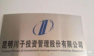 昆明川子投資管理咨詢公司 專業(yè)投資咨詢，賦能企業(yè)成長與財富增值