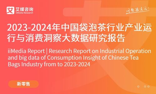 2023年中國(guó)品牌電商服務(wù)商行業(yè)研究報(bào)告發(fā)布 艾媒咨詢深度解析市場(chǎng)趨勢(shì)與機(jī)遇