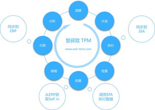 賦能精細(xì)化運(yùn)營(yíng) 快消品企業(yè)部署專業(yè)費(fèi)用管理系統(tǒng)的戰(zhàn)略價(jià)值與信息咨詢服務(wù)